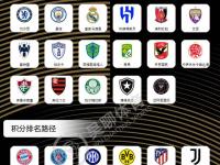 星空APP-关于2025世俱杯各主要球队大名单一览的信息