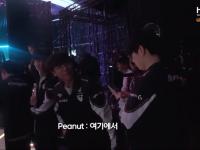 星空体育电脑版-Peanut再次拉胯，离谱发挥送走HLE，AL晋级EWC英的简单介绍