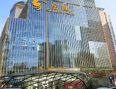 金鹰特攻迎战逐风者，强势突围，全场高潮不断